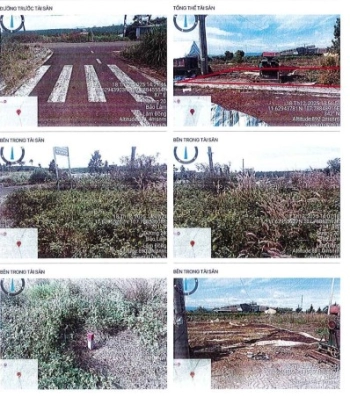 BÁN ĐẤU GIÁ BẤT ĐỘNG SẢN TẠI XÃ BẢO LÂM 1,TỈNH LÂM ĐỒNG