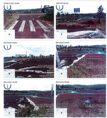 BÁN ĐẤU GIÁ BĐS TẠI XÃ BẢO LÂM 1,TỈNH LÂM ĐỒNG