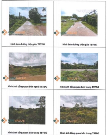 BÁN ĐẤU GIÁ BĐS TẠI BÌNH PHƯỚC (NAY LÀ TỈNH ĐỒNG NAI)/