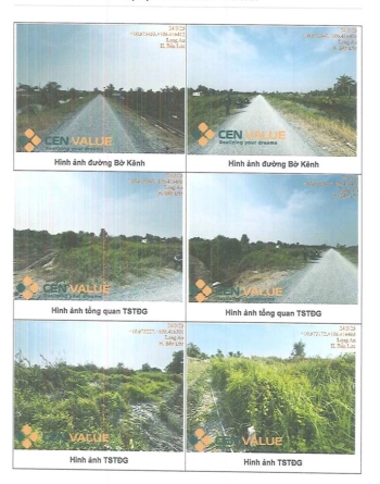 BÁN ĐẤU GIÁ BẤT ĐỘNG SẢN TẠI XÃ BÌNH ĐỨC, TỈNH TÂY NINH.