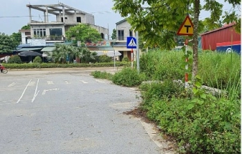 Bán nhanh lô đất siêu rẻ! 375m2 chỉ 20.3 tỷ tại thôn Hành Lạc, tt Như Quỳnh, Hưng Yên