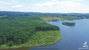 Đất Rẫy View Hồ Lớn, 5,3 xào giá 1,9 tỷ