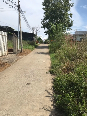 Đất nền mặt tiền đường đồng dâu xã phú thanh