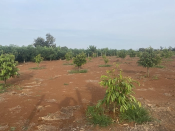 Cấn bán đất diện tích 4952m2 Tại Xã Xuân Tây,H.Cẩm Mỹ,Tỉnh Đồng Nai