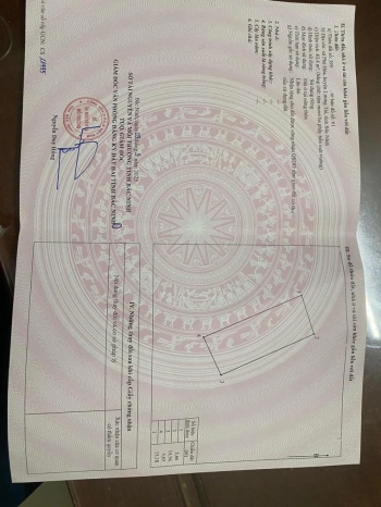 Cần bán gấp lô đất có sổ, vuông rẻ Phú Hòa, Lương Tài, Bắc Ninh