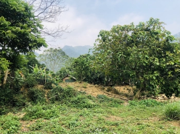 Gửi tới anh chị lô đất được bao quanh bởi những dãy núi. Anh chị di chuyển từ hà nội lên chỉ di chuyển trên tuyến đường cao tốc Hà Nội Hòa Bình