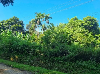 Cơ hội sở hữu đất giá rẻ tại Xã Phùng Minh, Ngọc Lặc, Thanh Hóa