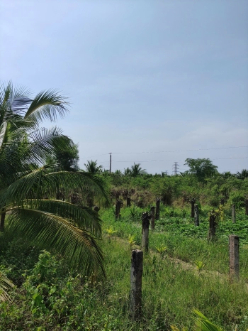 CHỦ NGỘP CẦN BÁN GẤP! SOS!!!!SOSSSSSS