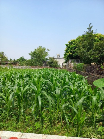 Bán gấp lô đất Hồng Minh, Hưng Hà