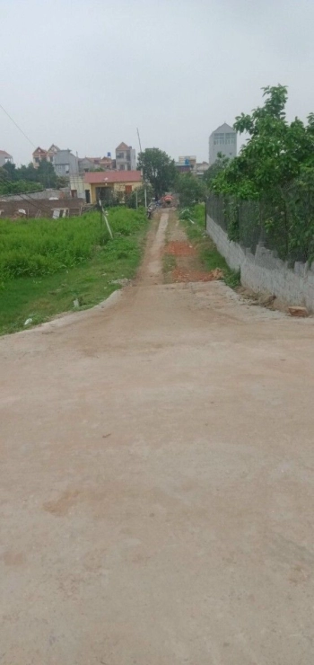 Đất sổ đỏ tại giãn dân nguyễn trãi ăn thì, diện tích 200m mà giá chưa đến 10tr