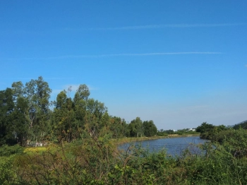 GẤP. CẦN BÁN GẤP!!! 2 LÔ ĐẤT 1500M^2, 1200M^2 NGAY TRUNG TÂM THỊ TRẤN TUY PHƯỚC