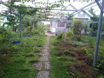 Chính chủ cần bán nhà vườn cảnh quan đẹp