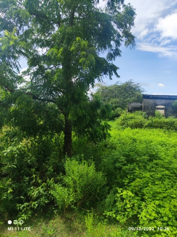 Lô góc mặt tiền đường bê tông ôtô tránh nhau, cách quốc lộ 27b vài trăm mét 