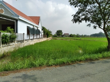 Cần bán đất chính chủ có sẵn 500m2 thổ cư 