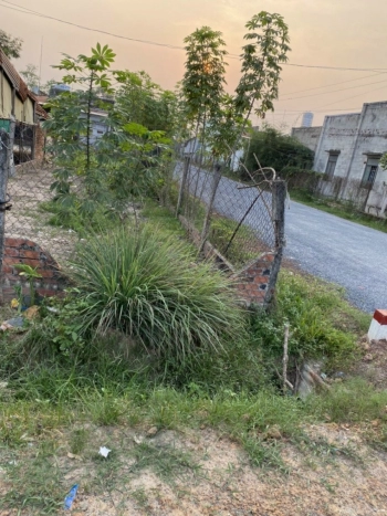 Đất Tây Ninh Ngộp Cần Bán Gấp 250m2 