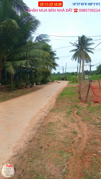 Đấ???? ????????à???? ????â???? ????ổ ???? , ???????? ???????? ????ưỡ???????? ????, đườ???????? Đà???? ???????????????????? ????????????????????  ???????????????????? ???????????????????? đấ???? ????????ổ ????ư  Giá 4xxtr ???????? ???????????? đấ???? ????????????????