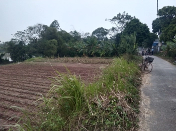 Đất đấu giá Nhân Mỹ, Lý Nhân, Hà Nam. sổ đỏ hợp pháp