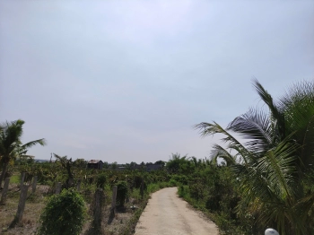 ĐẤT VƯỜN 2.000M² – LÝ TƯỞNG LÀM HOMESTAY