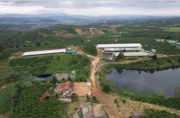 CẦN BÁN VƯỜN VÀ TRANG TRẠI HEO 9HA