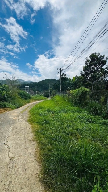 Bán lô đất View rừng thông chân đèo Pren, gần trạm thu phí 477m🌲5 tỷ