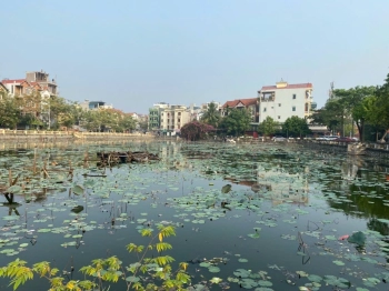 Đất Đức Diễn, Giáp Nhà Văn Hoá, Trường C1.2.3 Phúc Diễn: 40m x 2.x Tỷ