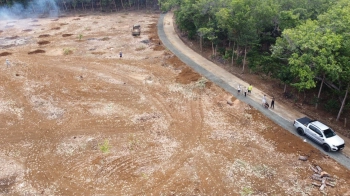 Lô đất sào bình phước chỉ 285 triệu Liên hệ em xem đất