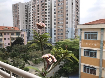 [CÓ SỔ HỒNG VĨNH VIỄN CHÍNH CHỦ] Bán CHCC Bàu Cát 2 gồm 3PN - 2WC