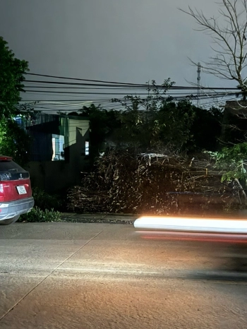 Bán đất đường trương hán siêu - xã đồng phong - nho quan - ninh bình