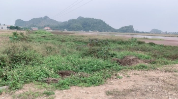 Bán 3,7ha đất nhà máy máy tại hoằng đạo hoằng hóa