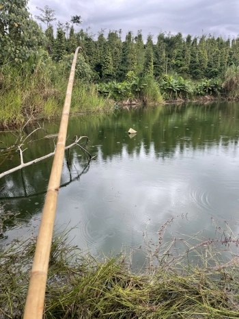 Gia đình không có nhu cầu sản xuất nữa cần bán 2,2 sào đất mặt tiền 20m giá 665 triệu