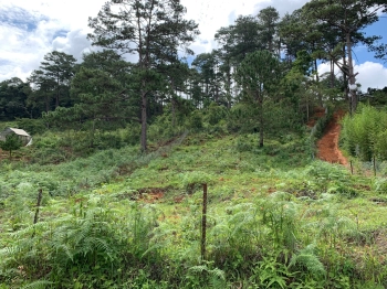 Đất view đẹp tiềm năng, suối bao quanh, đang sáp nhập thành phố đà lạt