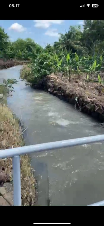 Bán đất vườn, suối lớn quanh năm, có thổ cư, đủ loại cây ăn trái, có cồn đất tự nhiên..