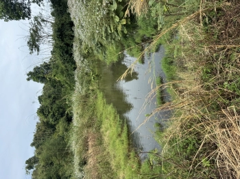 Cần bán 2,2hec 3 mặt tiền vườn cafe,tiêu,sầu riêng có sẵn nhà cấp 4 và hệ thống tưới tự động