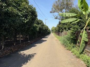 Vườn cây ăn trái Dầu Giây Thống Nhất giá cực mềm chỉ 790tr/sào - cơ hội đầu tư hấp dẫn sở hữu ngay