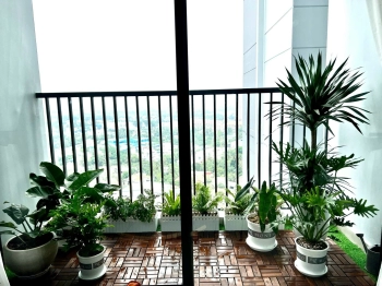 Bán căn hộ 2pn 74m2 The rivana liền kề DG