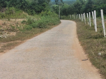 Cần Bán 3 Lô Đất Vườn View Suối đẹp đtô Bê Tông 6m Tới đất . Giá bán 350 triệu/lô