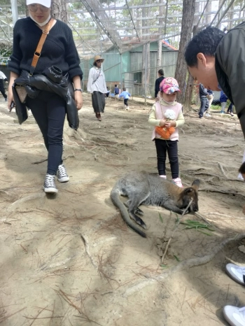 Chính chủ cần bán 1,05ha đất ở rteng , xã phú sơn huyện lâm hà, tỉnh lâm đồng