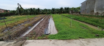 Bán đất nông nghiệp, chưa thổ cư