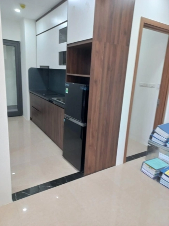 Cho thuê chung cư Geleximco Southern Star 897 Giải Phóng 62m2, 2PN, full đồ, 12 tr, ở ngay