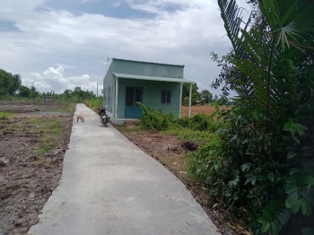 Cần bán đất+nhà: diện tích 606 m2 (240m thổ và 366 cây lâu năm)