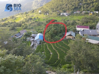 Bán đất tại phân khu Y Tý Ngàn Năm, dt 194m2, chủ cần tiền, giá thanh lý (0948019789)