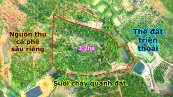 Đất rẫy không sổ nguồn thu mạnh, làm được sổ, view suối, gần đường nhựa