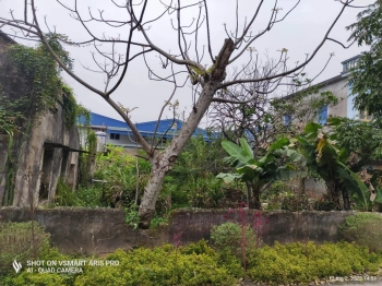 Bán đất xã Tiến thắng, Lý nhân, Hà nam 