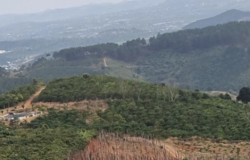 Cần bán 1,75 ha đất view tuyệt đẹp lại LÂM HÀ