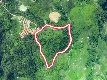 3HA Sâu Chua giá rẻ như cho chỉ 250k/m