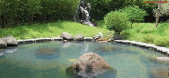 Bán đất nghỉ dưỡng giá rẻ