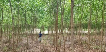 Bán đất làm trắng trại tại cát hiệp, phù cát, bình định. 2,2 tỉ/3,5 hécta.