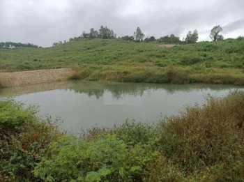 Bán 5Ha Đất Trang Trại Xã Sơn Nguyên