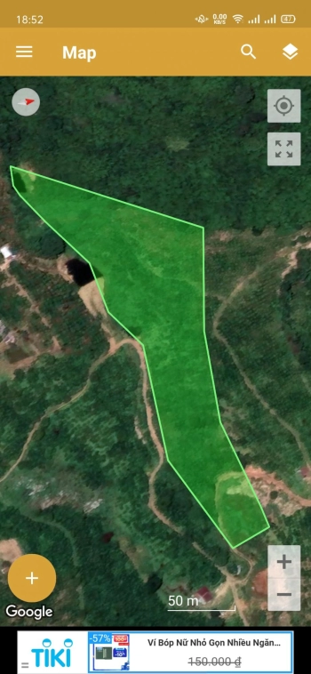 Đất cafe xen sầu riêng view đẹp