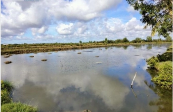 bán 12 công đất ở Hòa Lạc Hòa Hiệp cầu Ngang Trà Vinh